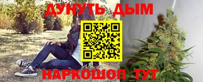 соль ск Обь