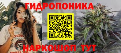 соль ск Обь