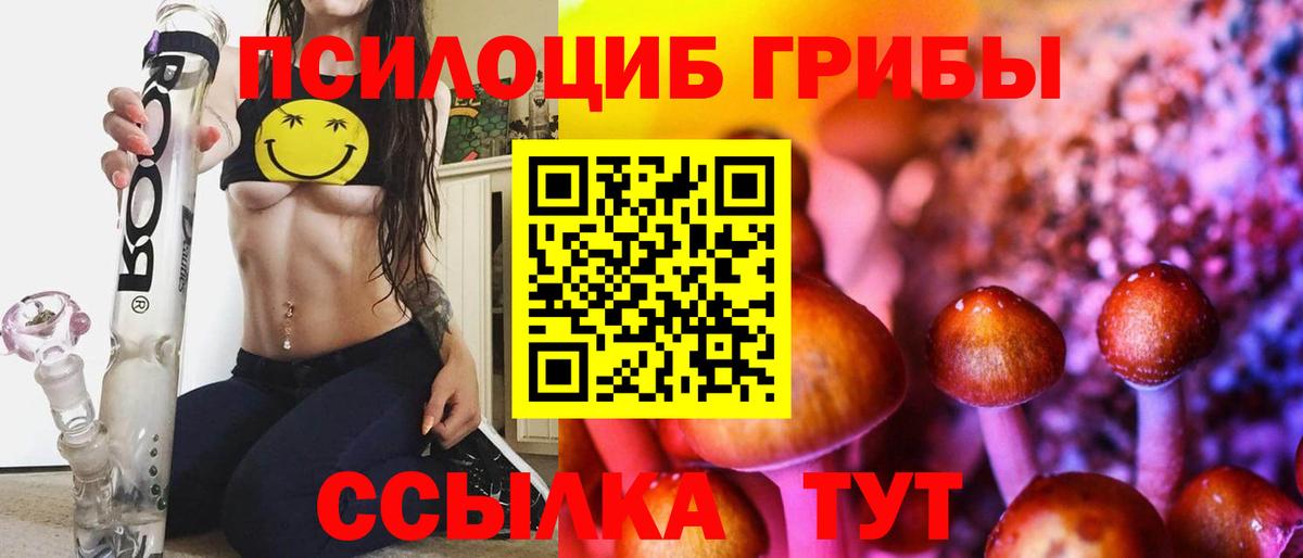 Галлюциногенные грибы Cubensis Нефтеюганск
